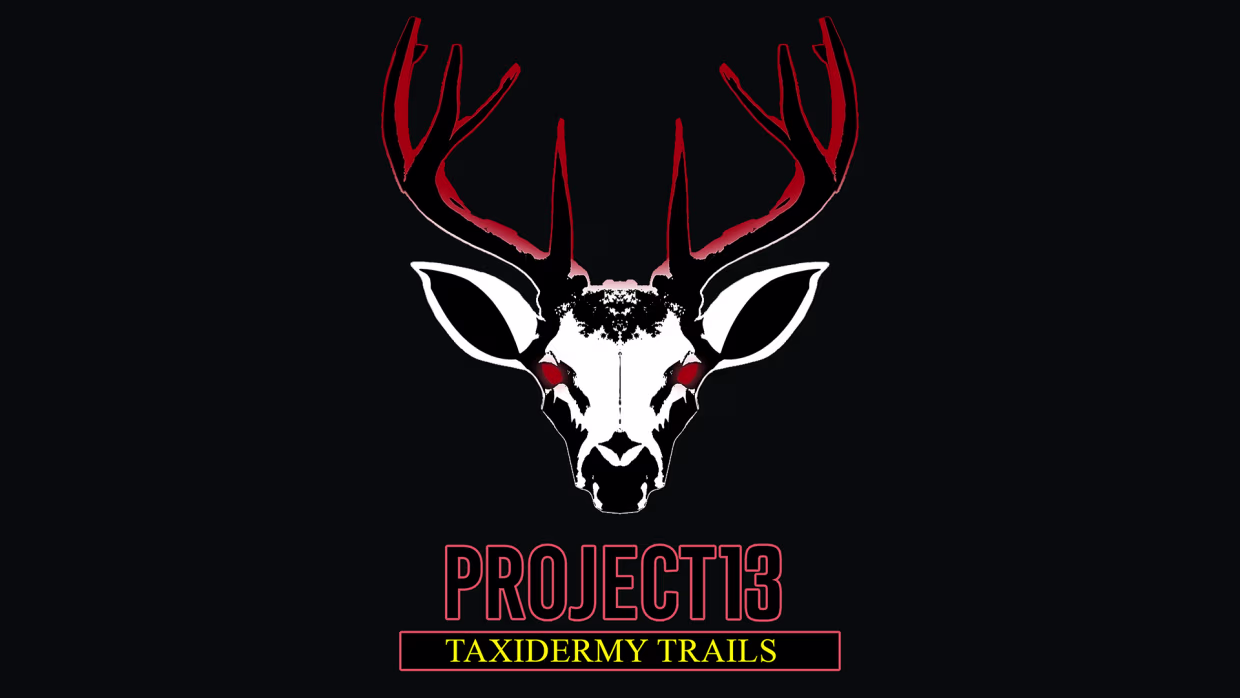 Project 13